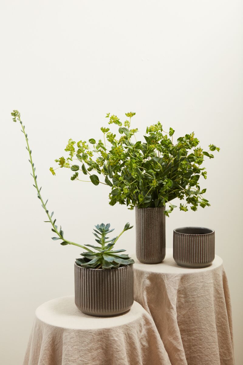 Spring Ridged Vase