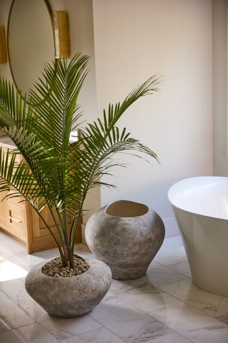 Augustina Planter