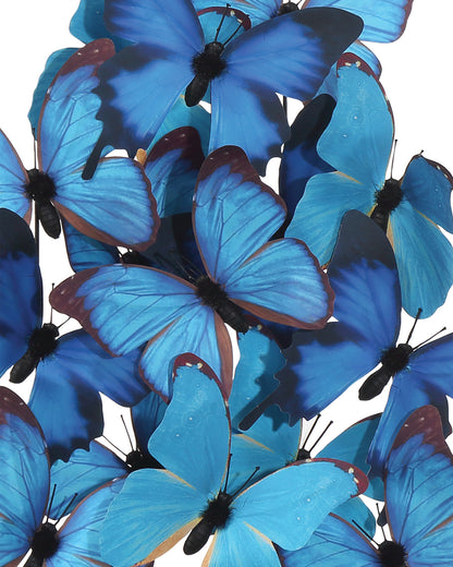 Electric Blue Butterflies - Medium