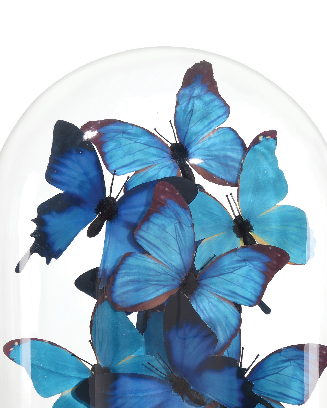 Electric Blue Butterflies - Medium