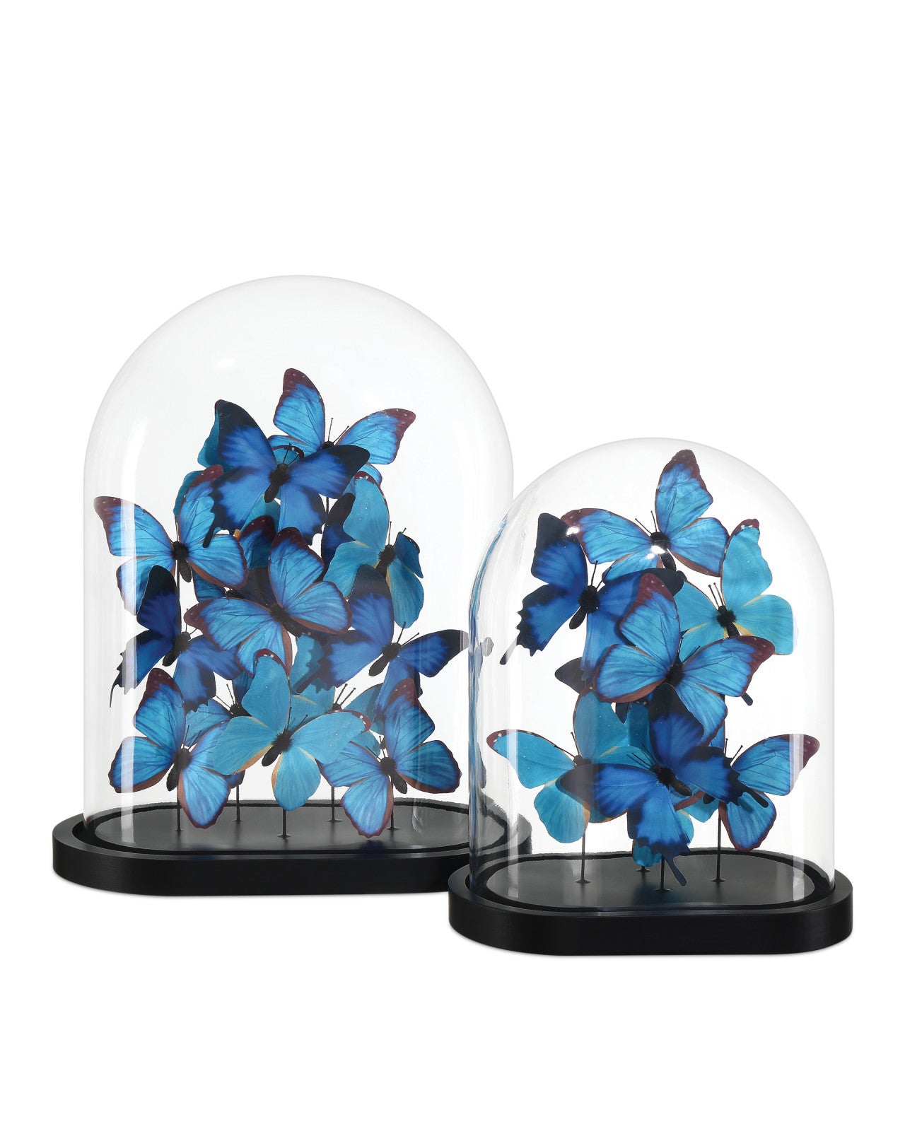 Electric Blue Butterflies - Medium