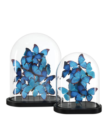 Electric Blue Butterflies - Medium