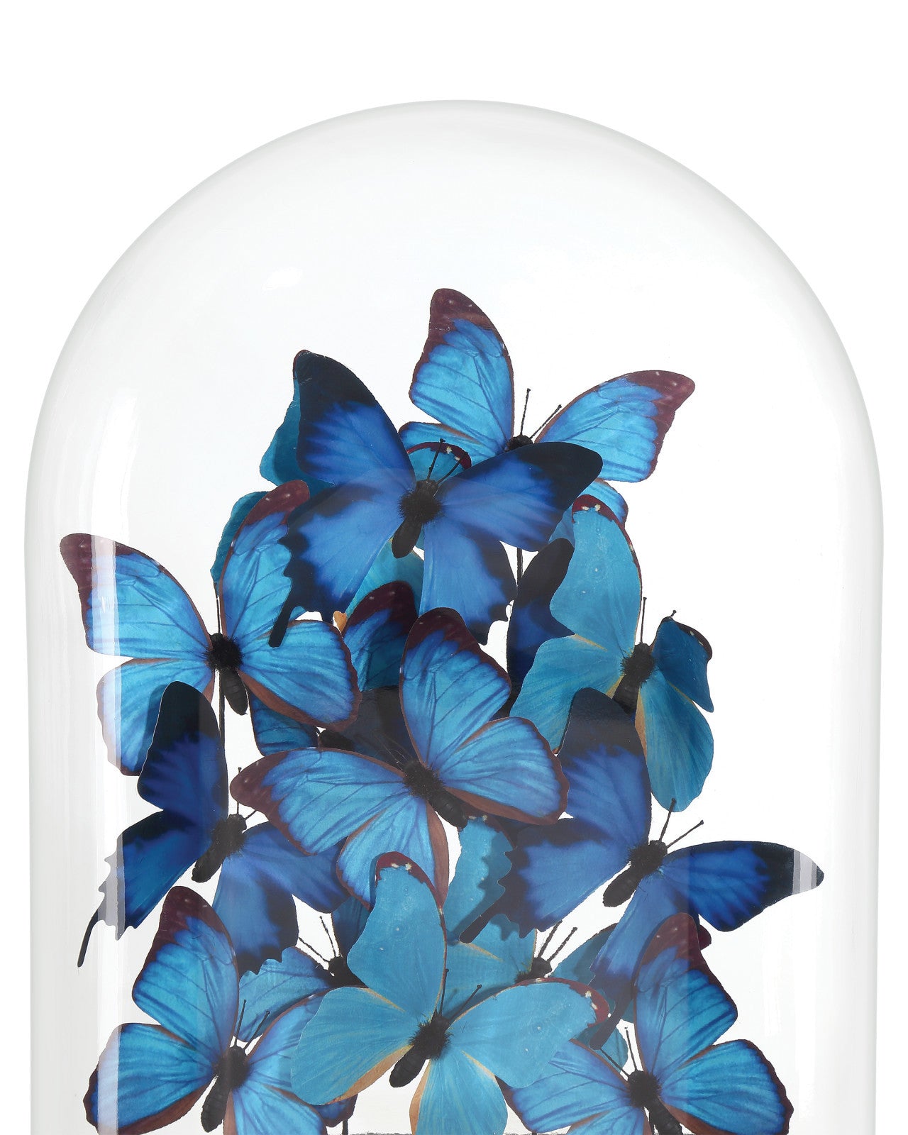 Electric Blue Butterflies - Large