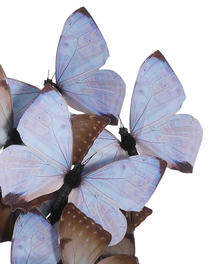 Lilac Butterflies - Medium