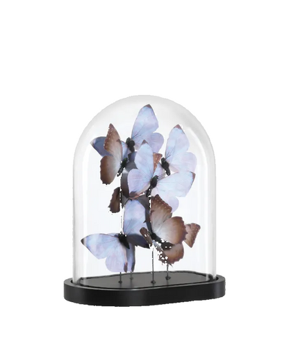 Lilac Butterflies - Medium