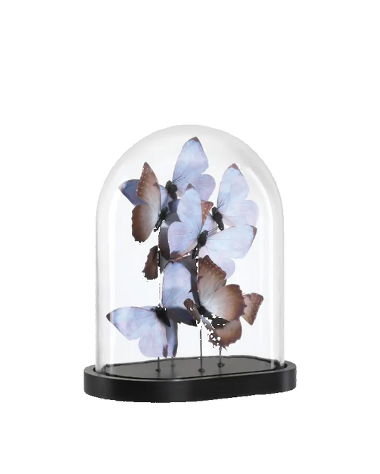 Lilac Butterflies - Medium
